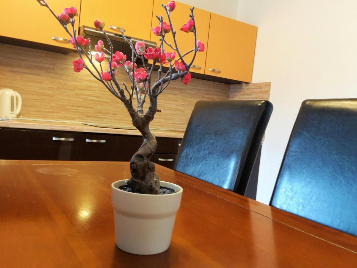Apartman Slavkov Home & Parking Nová Lesná Extérieur photo